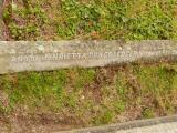 image of grave number 808747